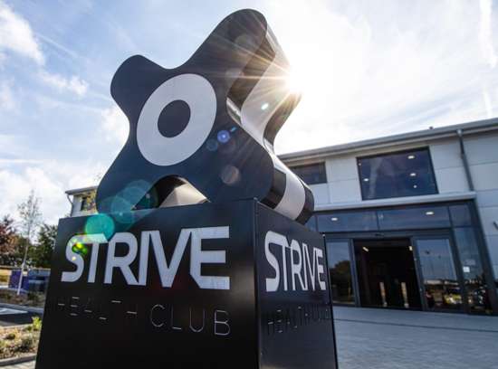 Strive, Jersey